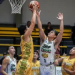 Biñan Tatak Gel